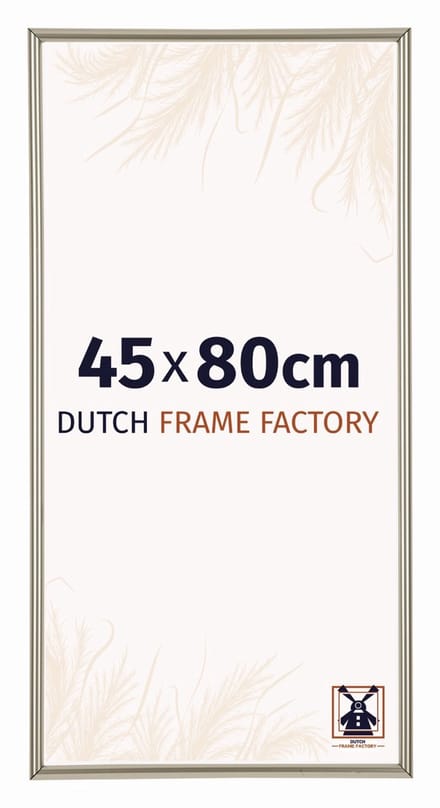 Fotolijst 45x80 cm - Kunststof - Champagne - Angers
