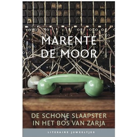 De Schone Slaapster In Het Bos Van Zarja (Set Van 10) - Literaire Juweeltjes - Marente de Moor