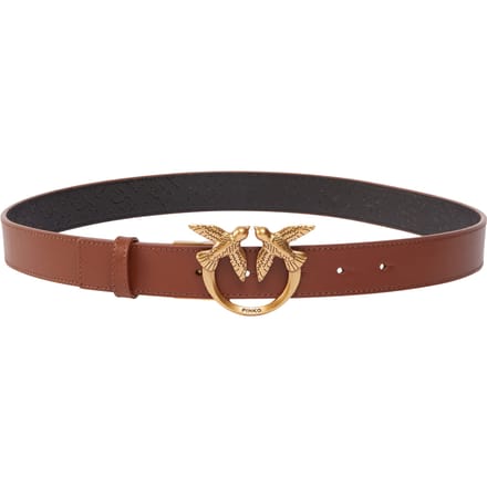 Damesriem Pinko 100125A1Z6-LZ9Q Bruin