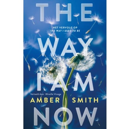 The Way I Am Now - Amber Smith