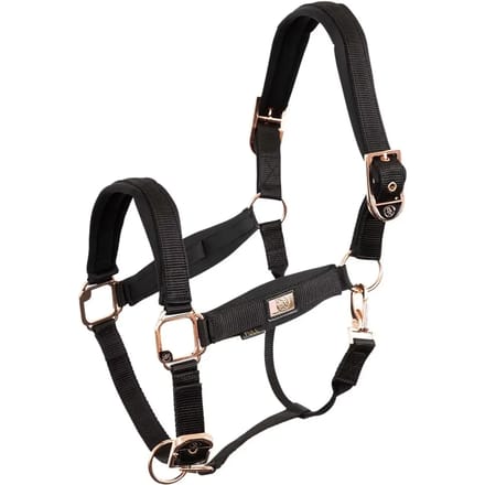 Halster voor paarden BR Equitation Rose Gold