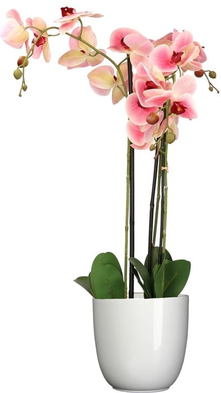 Orchidee kunstplant roze - 75 cm - inclusief bloempot wit glans - Kunstbloemen in pot