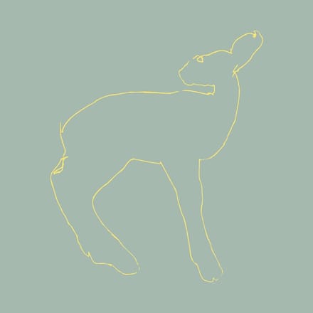 Songs: Ohia - Hecla & Griper (LP)