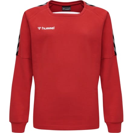 Junior Sweatshirt Hummel hmlAUTHENTIC Training