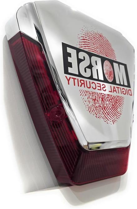 Decoy Alarmbox - Nep Alarm - Beveiliging Huis - Knipperende LED - 30 cm - Rood