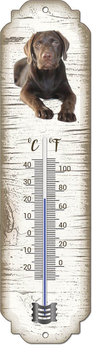 Thermometer: Labrador bruin | Hondenras | Temperatuur binnen en buiten | -25 tot +45C