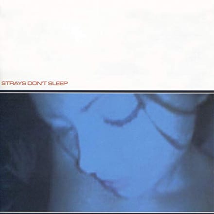 Strays Don't Sleep - Strays Don't Sleep (CD)