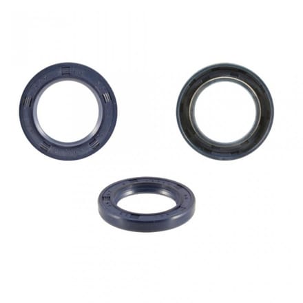 pakking spi motor rms voor scooter piaggio 50 typhoon 2009 478498 nieuw