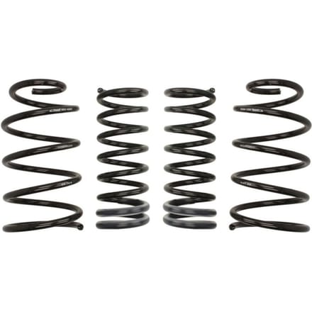 Ophangset, veren Pro-Kit EIBACH E10-84-006-14-22