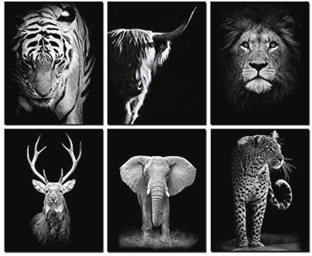 Set van 6 Dieren Muurkunst Prints - Zwart-Wit Wanddecoratie voor Thuis