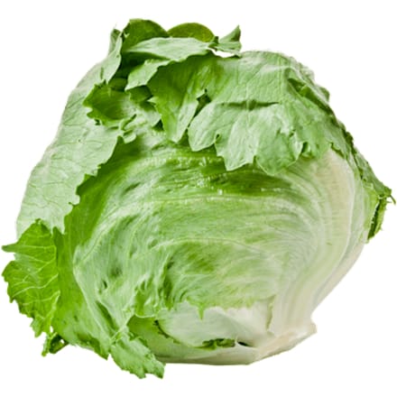 IJsbergsla krop