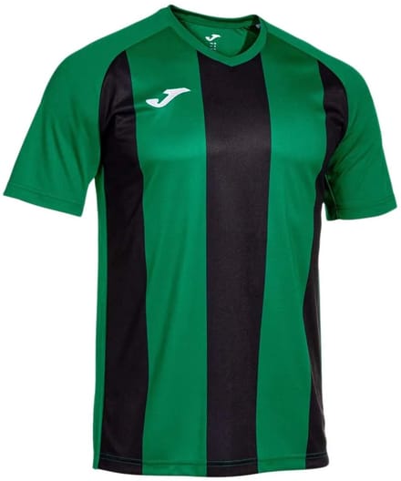 Joma Inter Iv T-shirt Met Korte Mouwen Groen L Man