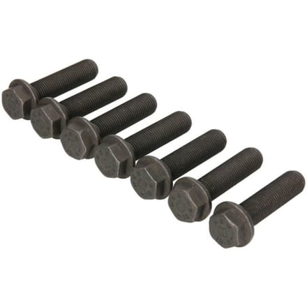 Schaeffler Luk Schroevenset vliegwiel LUK 411 0170 11