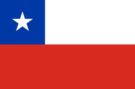 Vlag Chili 50x75cm