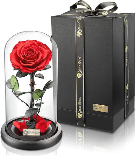 Echte Premium Roos in Glas met Luxe Geschenkdoos - Duurzaam Geschenk voor Liefde
