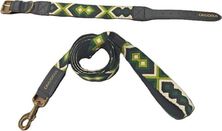 Cavlicious® honden halsband met riem - veganleder - windhonden - groen - M
