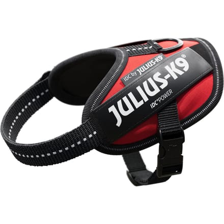 Julius-K9 Powertuigje IDC Rood Maat 2XS: borstomvang 33 - 45 cm