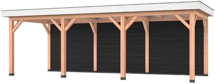 Douglas overkapping, 750 x 300, met achterwand, Westwood Holland Basic
