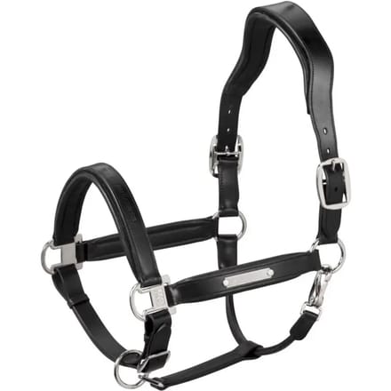 Leren halster voor paard Eskadron Stallion