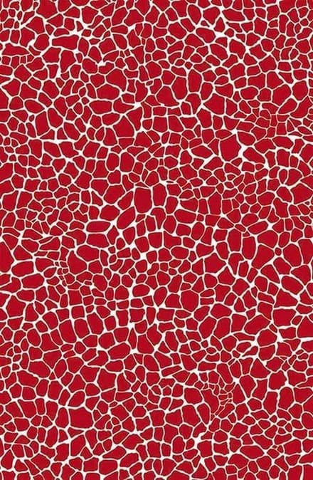 Décopatch papier - hobbypapier -Clairefontaine FDA546O kunst- & knutselset