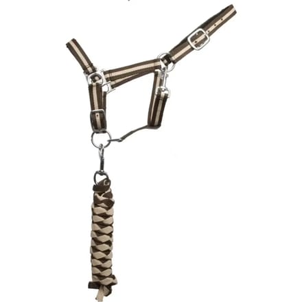Dubbel halster + leidtouw T de T