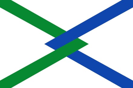 Vlag Hamme 100x150cm