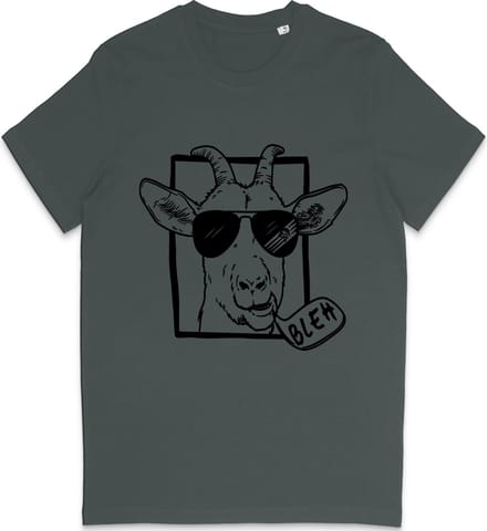 T Shirt Grappige Geit - Heren en Dames T Shirt - Grijs - S