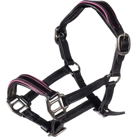 Hobby Horse Lijn van Leer HKM Kids Manchester
