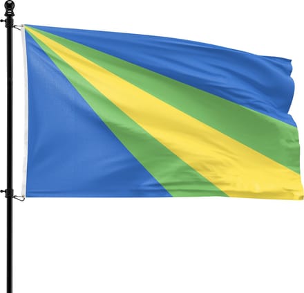 VlagDirect - Zeewolde vlag - Gemeente Zeewolde vlag - 90 x 150 cm.