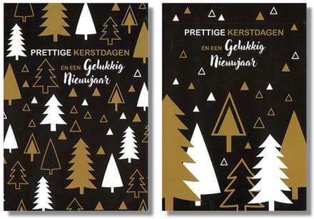 MGPcards - 10 Dubbele wenskaarten - Kerstkaarten / Nieuwjaar - Witte envelop - 10 x 14 cm - 2 Motieven per doosje