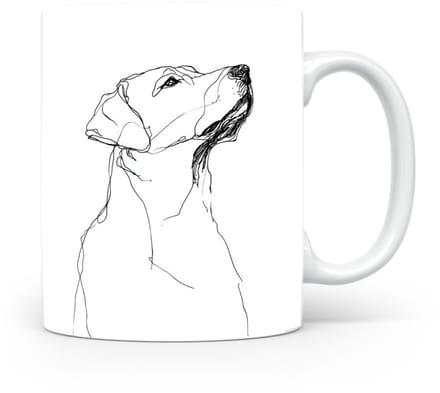 Beker Labrador Retriever