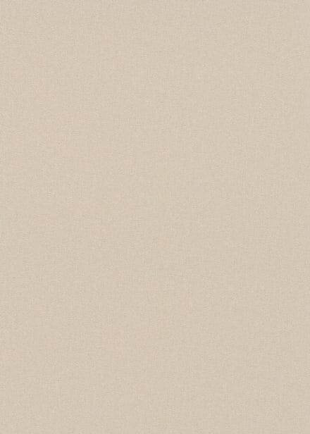 Erismann Vinylbehang 10475-02 - Coulours & Textures - Beige - 53cm x 10.05m