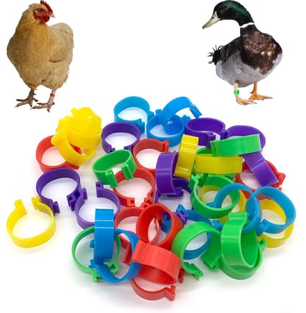 Dailygoody - Gevogelte Enkelbandjes - 40 Stuks - Duurzaam Kunststof