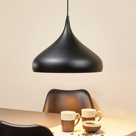 Aluminor Zwarte hanglamp Norma