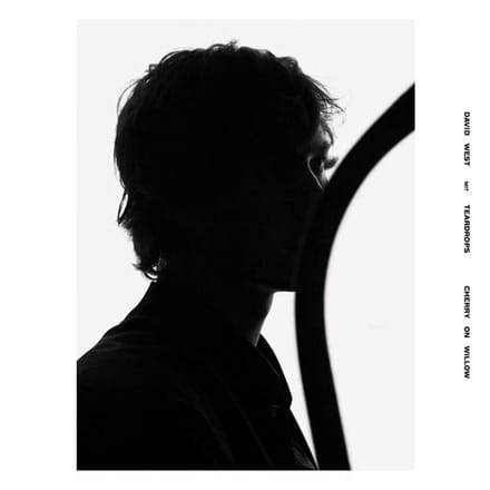 David West & Teardrops - Cherry On Willow (LP) (Coloured Vinyl) (Limited Edition)