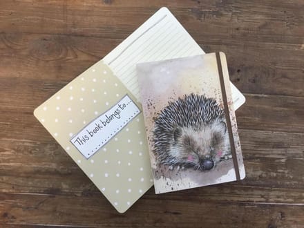 Alex Clark Large Chunky Notebook Harriet ~ A5 Softcover Notitieboek Egel