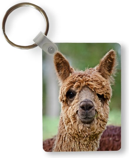 Sleutelhanger - Alpaca - Portret - Dier - Uitdeelcadeautjes - Plastic