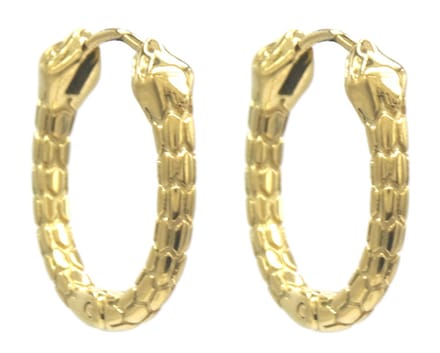 Oorbellen Snake - Oorringen - RVS - 2.2 cm - Goudkleurig