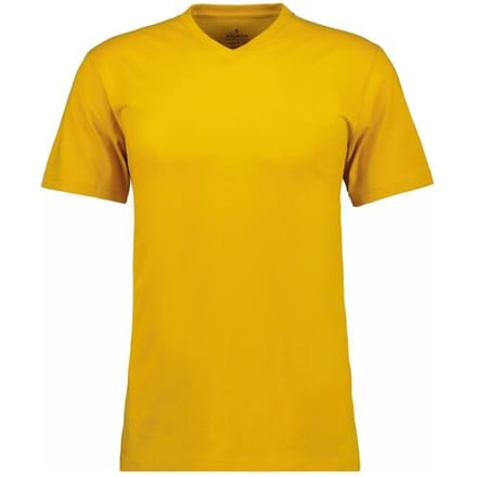 Ragman T-Shirt Uni V-Neck Single Jersey Maisgeel / male