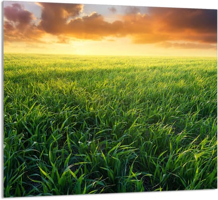 TMK ArtDeko - Glasplaat voor Keuken - 65x60 cm - Tempered Glass
