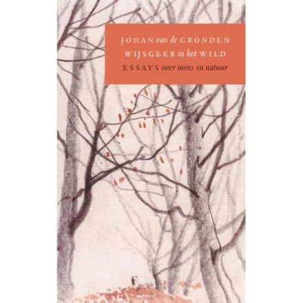 Wijsgeer In Het Wild - Johan van de Gronden