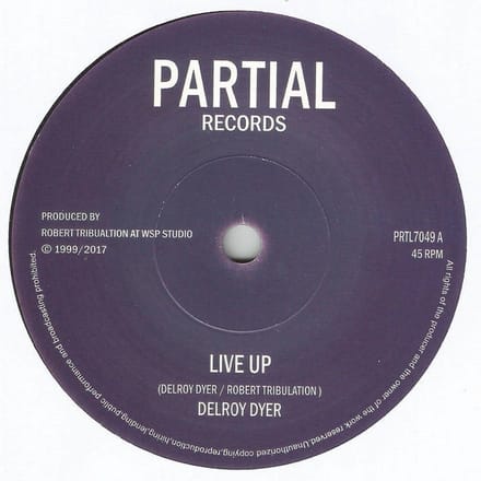 Delroy Dyer - Live Up (7" Single)