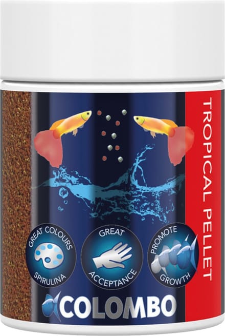 Tropical Korrel 100ml/70gr
