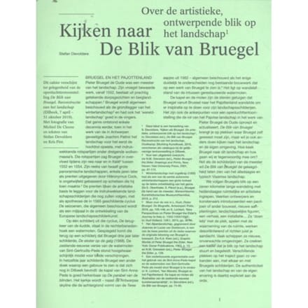 Kijken Naar De Blik Van Bruegel - Stefan Devoldere