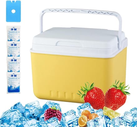 Isolatie Koelbox - Draagbare Vrieskist - Buiten Activiteiten - Lekvrij Ontwerp - 6 Liter Capaciteit