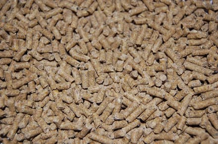 Van Gorp Pluimveekorrel 20 kg