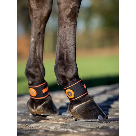 LeMieux Magno Pastern Wrap Kootholtebeschermer Black Cob