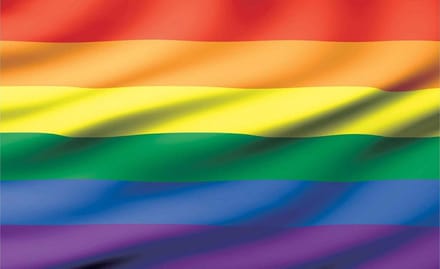 Regenboogvlag groot