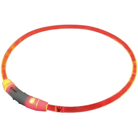 Brede LED-halsbanden voor honden Nobby Pet Visible