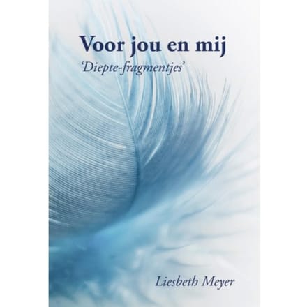Voor Jou En Mij - Liesbeth Meyer